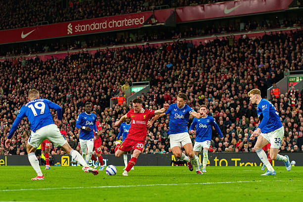 更是对自然 更是对自然